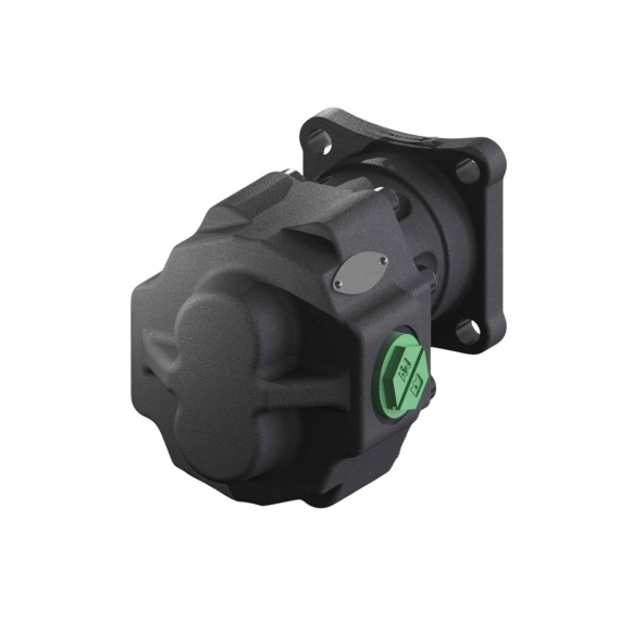 30-55 GEAR PUMP BI-ROTATIONAL ISO - 2